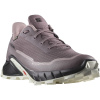 Salomon Alphacross 5 GTX W L47311000 - moonscape/black/white 40 2/3