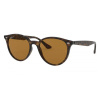 Ray-ban RB4305 710/83 - Polarizačné okuliare