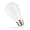 LED žiarovka GLS E-27 24V AC/DC 8,5W neutrálna biela, SPECTRUM WOJ14658