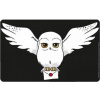LOGOSHIRT Harry Potter: Hedwig Letter