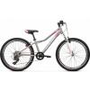 Junior bicykel - Kross Lea Jr 2.0 2022 Striebro (Kross Lea Jr 2.0 2022 Striebro)