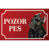 Americký pitbullteriér - Kovová tabuľka POZOR PES