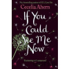 If You Could See Me Now - Cecelia Ahern