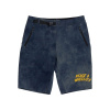TROY LEE DESIGNS SKYLINE TRAIL SHORT WASHED OUT DARK CLOUD (28614400) - 36