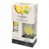 Základňa na koktaily SodaStream Ananas Jalapeno 330 ml + Fľaša 1 l + kniha