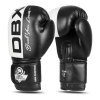 BUSHIDO Boxerské rukavice DBX B-2v20 - 12oz