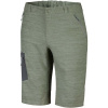 Columbia TRIPLE CANYON SHORT zelená,tmavo sivá Pánske outdoorové šortky 38