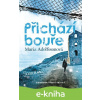E-kniha Přichází bouře - Doggerland 2. - Maria Adolfssonová