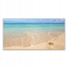 Foto -camera akryl 140x70 Beach Starfish Landscape (Foto -camera akryl 140x70 Beach Starfish Landscape)