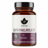 Puhdistamo Puhdistamo Earth Chaga BIO 60 kapsúl (PAKURIUUTE)