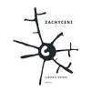 Zachyceni