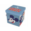 Arditex box s vrchnákom 2v1 Mickey Mouse WD14433