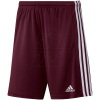 Trenky adidas Squadra 21 Short M GN8083