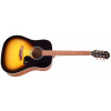 EPIPHONE Songmaker DR-100 Square Shoulder VS