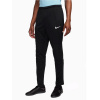 Tepláky Nike Park 20 Knit M FJ3017-010