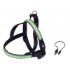 Nobby Flash Mesh svietiaci zelený postroj vel. S (50-65cm)