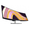 DELL LCD U4924DW - 49