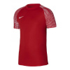 Nike Academy Jr T-shirt DH8369-657 (114404) Black M (137-147cm)