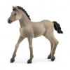 Schleich 13949 Hříbě Criollo definitivo