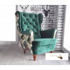 Kreslo Dark Green + Monstera na svetlom podklade