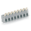 WAGO 257-552 pružinová svorka 2.50 mm² Pólov 2 sivá 280 ks; 257-552
