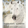 Andalusians & Lusitanos - Iberian Horses - Gabriele Boiselle, Koenemann