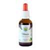 Salvia Paradise Vilcacora Uňa de Gato tinktura bez alkoholu 50 ml