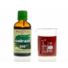 Azadirachta plod (Nimba, Neem) - bylinné kapky (tinktura) 50 ml - doplněk stravy