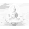 ZUTY Bodkovanie - BUDDHA V LOTOSE Rámovanie: vypnuté plátno na rám, Rozmer: 40x50 cm