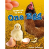 One Egg