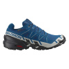 Salomon Speedcross 6 GTX - Poseidon/Black/Lunar Rock 42