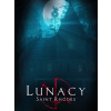 Stormling Studios Lunacy: Saint Rhode (PC) Steam Key 10000340156001