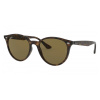 Ray-ban RB4305 710/73