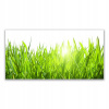Foto -flap 140x70 trávnatá rastlina príroda (Foto -gift pre darček 140x70 Grass rastlina príroda)