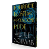 Pohřběte kosti mé v půlnoční půdě - Schwab V E