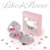 LIKE A FLOWER IRENE CD