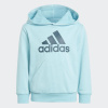 Detská Mikina ADIDAS LK BL FT HD IJ6375 – Modrá