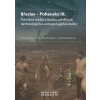 Břeclav Pohansko IX. (Kateřina Boberová, Kateřina Kalová, Renáta Přichystalová)