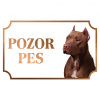 Americký pitbullteriér - Kovová tabuľka POZOR PES