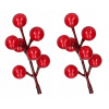 HLOH JARIABINA 2KS DEKORAČNÉ VETVIČKY NA ARANŽMÁN
