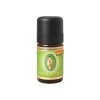 Primavera Éterický olej Fenikel BIO 19% - 5 ml