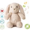 Cloud B Cloud b® Love Light Buddies - Billy Bunny ™ Nočné svetielko s melódiou, Zajko, 0m+
