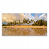 Foto -creen akryl s plážou 140x70 Print Krajinná pláž (Foto -creen akryl s plážou 140x70 Print Krajinná pláž)