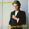CD Peter Schilling: Error In The System