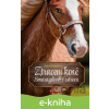 E-kniha Ztracení koně Smaragdového ostrova - Astrid Franková