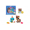 Hasbro Littlest Pet Shop 2 figúrky - 6 druhov