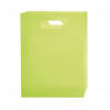 Karton P+P A4 PP Opaline Frosty zelená