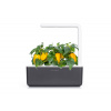 SMART GARDEN 3 inteligentný kvetináč na bylinky Click and Grow Farba: Šedá