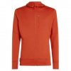Icebreaker Merino 260 Quantum IV LS Zip Hoodie Men