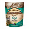 Carnilove dog Paté Carp & black carrot 300 g